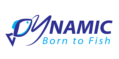 Dynamic Logo